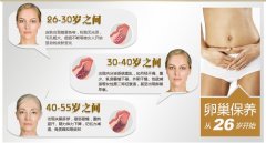 �������Ԥ���ѳ���˥ ����������